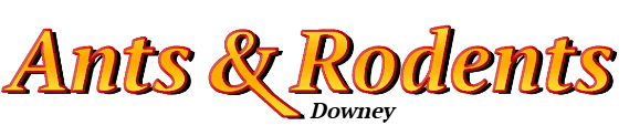 Downey Ant Exterminator & Rodent Control Company Logo